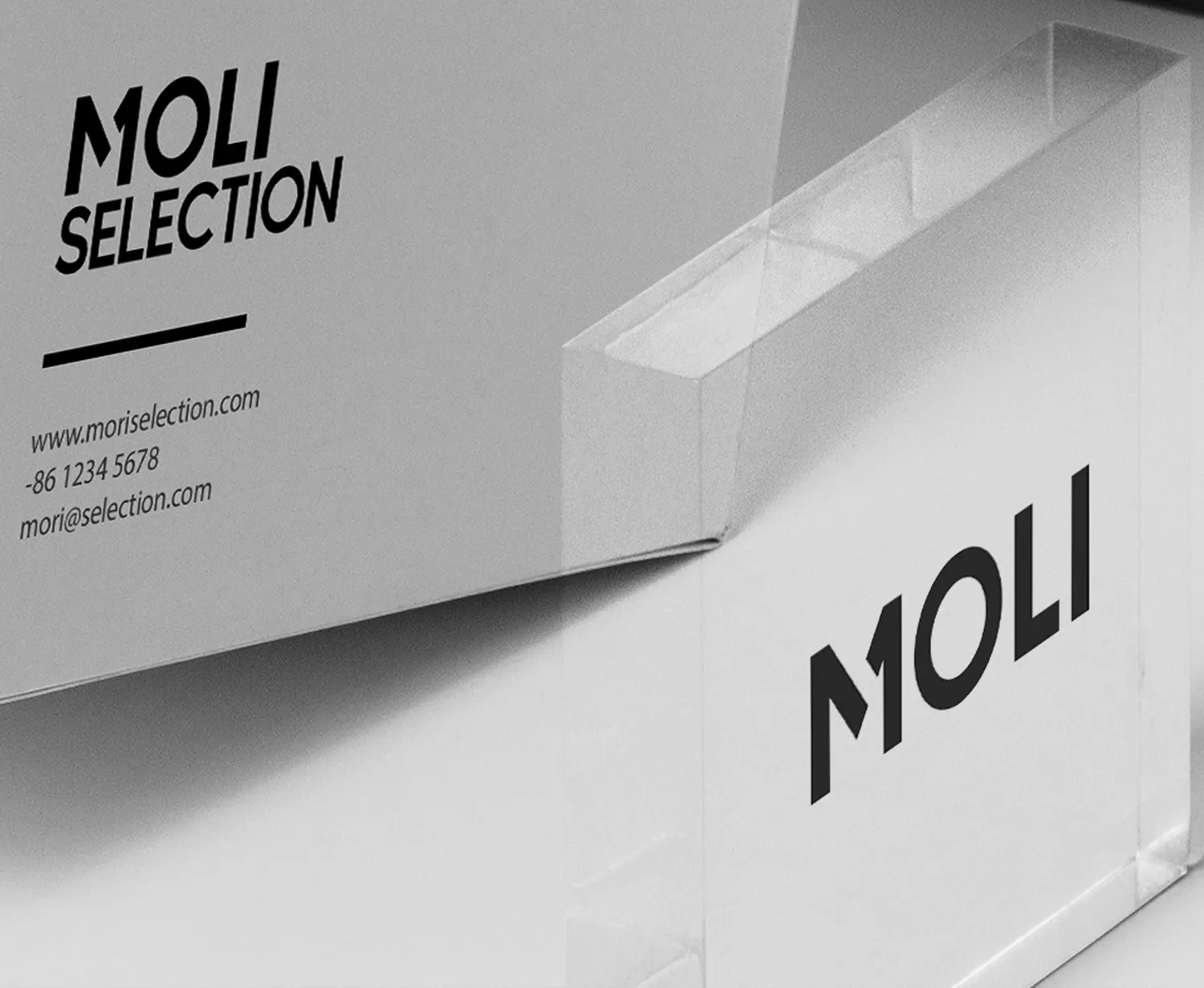 MOLI品牌全案设计