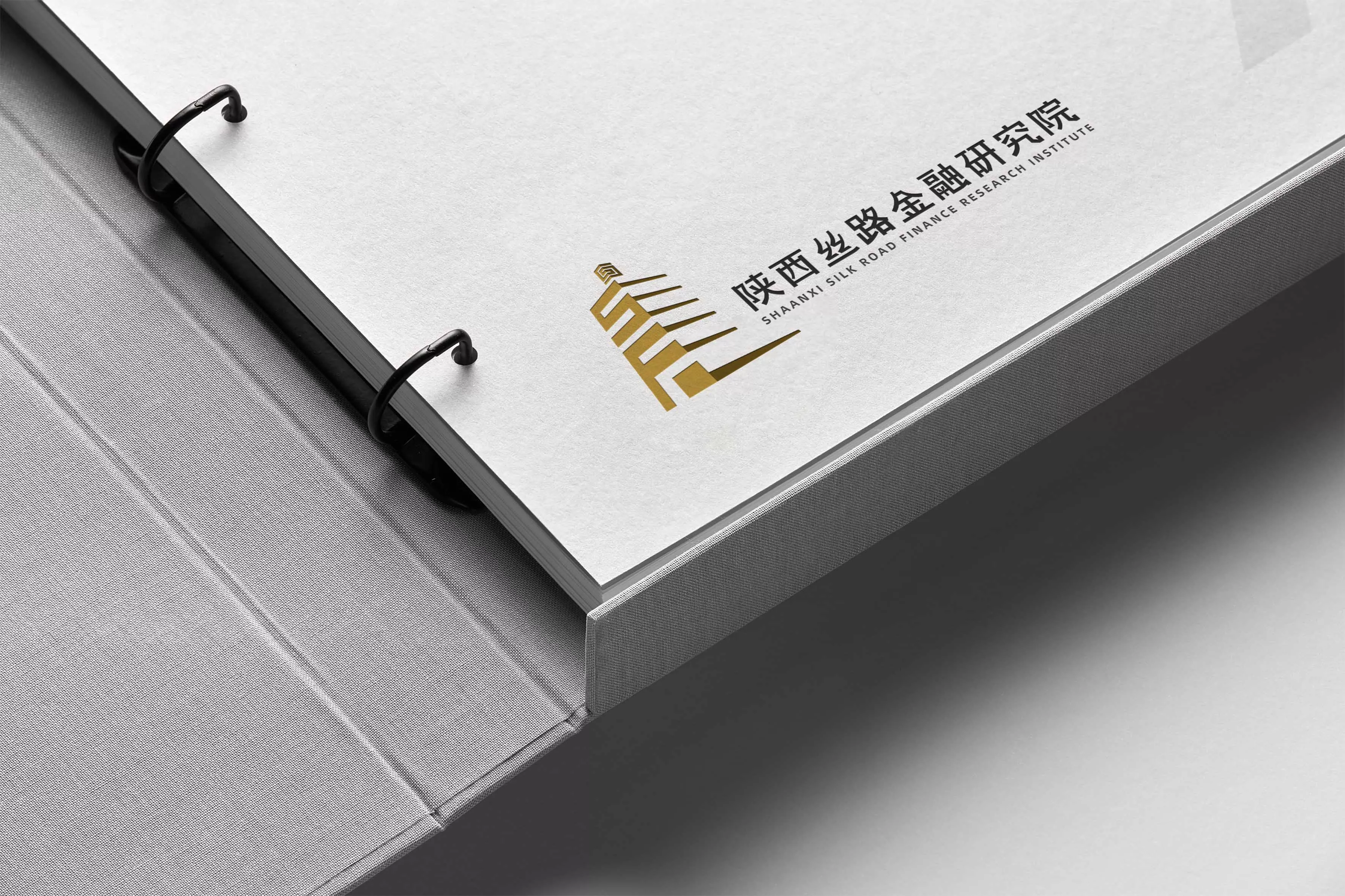 陕西丝路金融研究院品牌全案设计