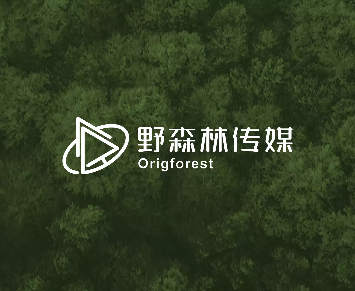 野森林传媒品牌全案设计